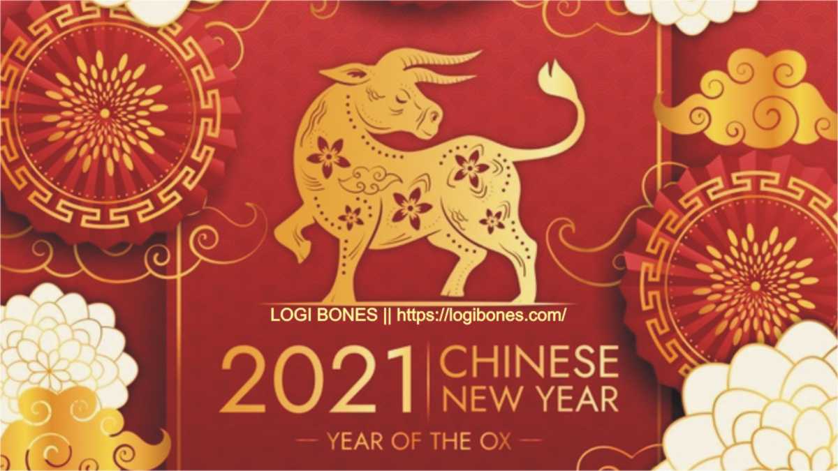 Happy Lunar New Year 2021 | Chinese Year of the OX | Logi Bones